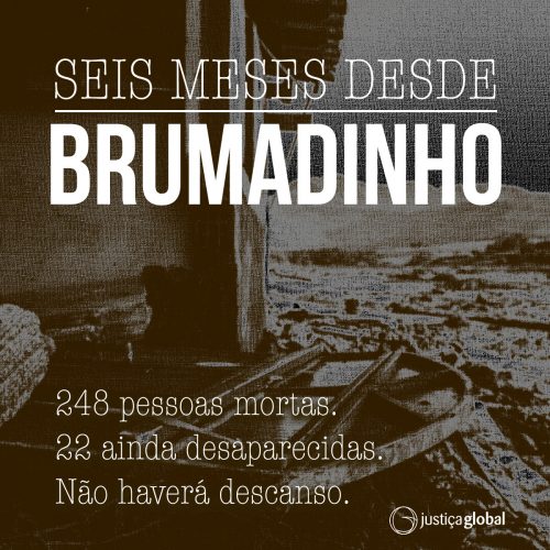 seis meses brumadinho