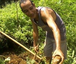 Fotografia em baixa definição de Josenildo, que está levemente encurvado, de regata e bermuda, sorri e parece segurar uma ferramente de jardinagem em uma mão e uma mandioca na outra. Ele sorri e está em frente a uma horta.