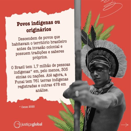 Além dos povos originários, o Brasil conta com uma diversidade de populações cujas condições sociais, culturais e econômicas os diferenciam da sociedade nacionalizada e que estão parcial ou integralmente regidas por tradições próprias.