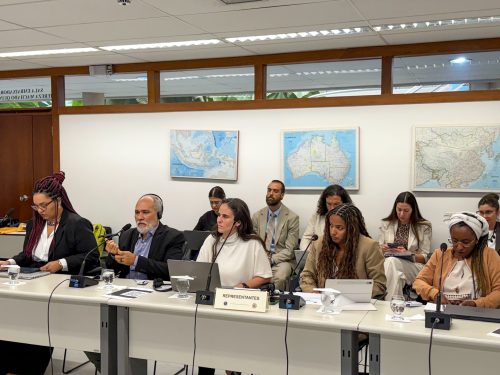 Monique Cruz, da Justiça Global, na Audiência sobre as medidas provisórias de Pedrinhas (MA) junto á Corte Interamericana de Direitos Humanos (Corte IDH)