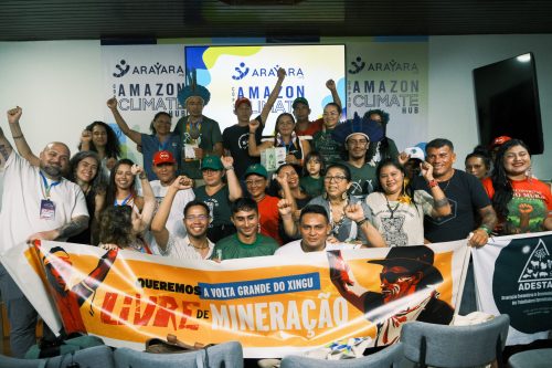 Crédito: Oruê Brasileiro/Arayara.