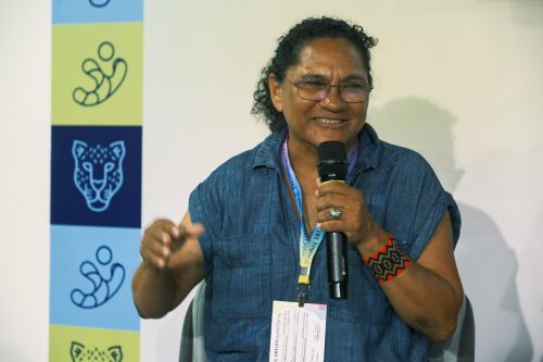 Crédito: Oruê Brasileiro/Arayara.